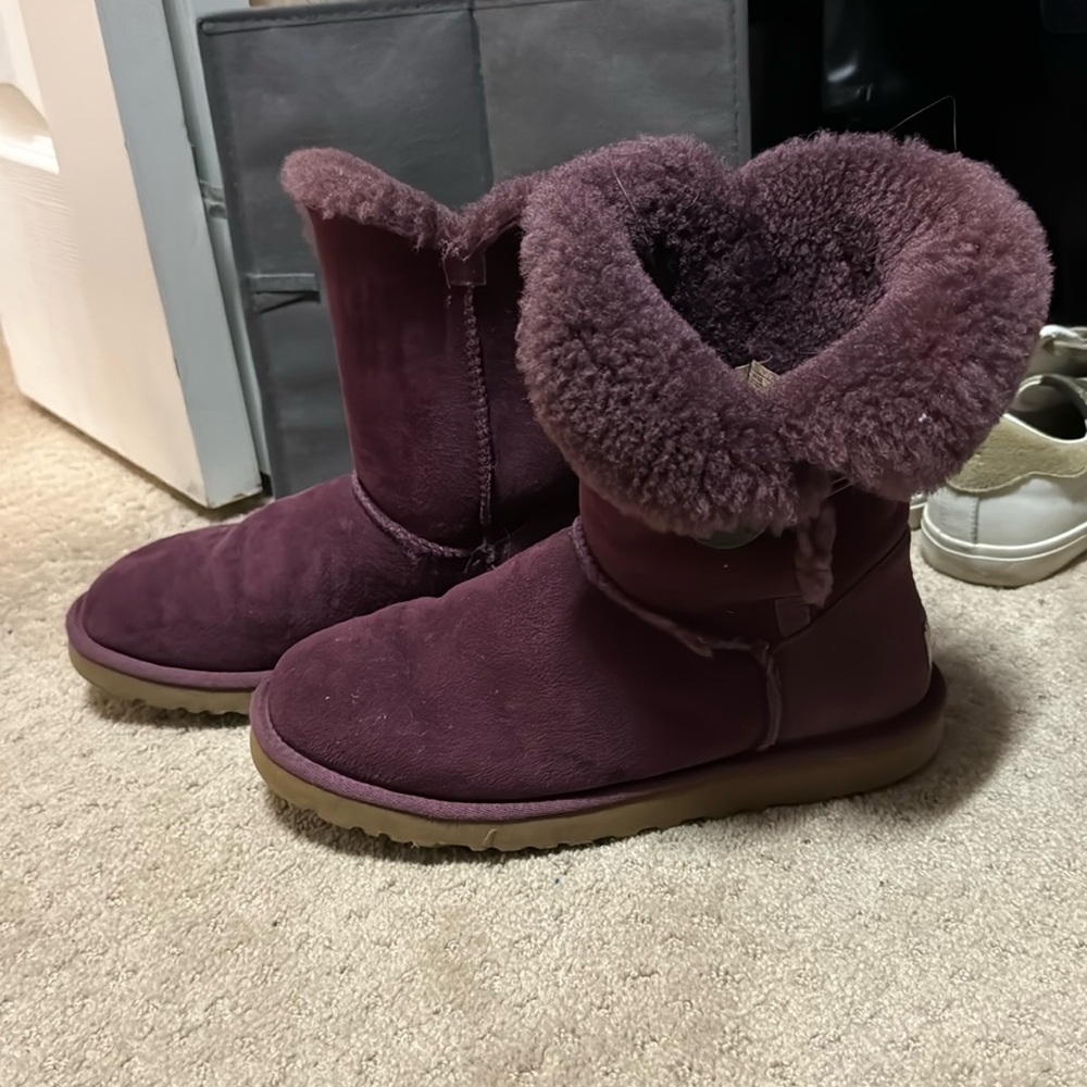Plum short Uggs